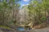 35 McKane Road, Windellama, NSW 2580-Image
