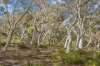35 McKane Road, Windellama, NSW 2580-Image