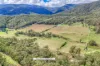 35 Pinch Gut Lane, Harrietville, Vic 3741-Image