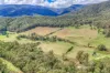 35 Pinch Gut Lane, Harrietville, Vic 3741-Image