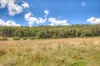 35 Pinch Gut Lane, Harrietville, Vic 3741-Image