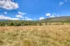 35 Pinch Gut Lane, Harrietville, Vic 3741-Image