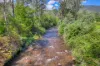 35 Pinch Gut Lane, Harrietville, Vic 3741-Image