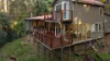 35 Settlers Ridge, Buderim QLD 4556-Image