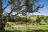 351 Mullins Creek Road, Breadalbane, NSW 2581