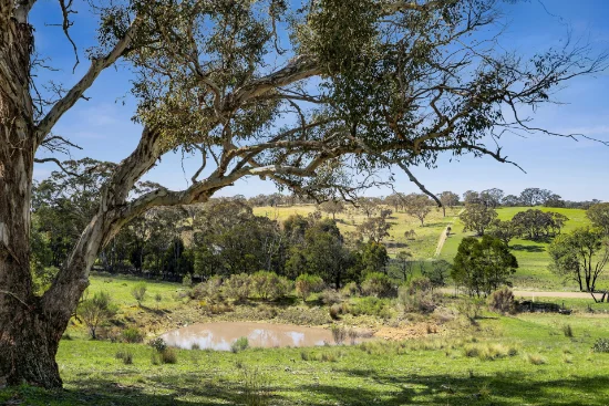 351 Mullins Creek Road, Breadalbane, NSW 2581