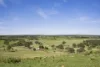 351 Mullins Creek Road, Breadalbane, NSW 2581-Image