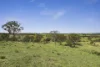 351 Mullins Creek Road, Breadalbane, NSW 2581-Image