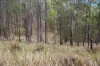 354 Old Mill Road, Sheep Station Creek QLD 4515-Image