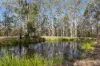 354 Old Mill Road, Sheep Station Creek QLD 4515-Image