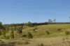 354 Old Mill Road, Sheep Station Creek QLD 4515-Image