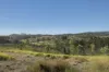 354 Old Mill Road, Sheep Station Creek QLD 4515-Image
