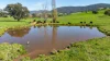 355 Lindsay Road, Staghorn Flat, Vic 3691-Image