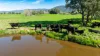 355 Lindsay Road, Staghorn Flat, Vic 3691-Image