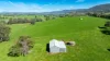 355 Lindsay Road, Staghorn Flat, Vic 3691-Image