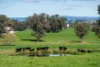 355 Lindsay Road, Staghorn Flat, Vic 3691-Image