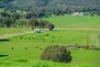 355 Lindsay Road, Staghorn Flat, Vic 3691-Image