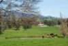 355 Lindsay Road, Staghorn Flat, Vic 3691-Image