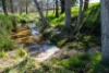 355 Lindsay Road, Staghorn Flat, Vic 3691-Image