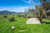 355 Lindsay Road, Staghorn Flat, Vic 3691-Image