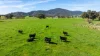 355 Lindsay Road, Staghorn Flat, Vic 3691-Image