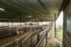 3563 Hamilton Chatsworth Road, Woodhouse, Vic 3294-Image