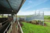 3563 Hamilton Chatsworth Road, Woodhouse, Vic 3294-Image