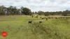 3578 Kings Highway, Bungendore, NSW 2621-Image