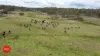 3578 Kings Highway, Bungendore, NSW 2621-Image