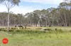 3578 Kings Highway, Bungendore, NSW 2621-Image