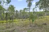 359 Mooney Road, Gaeta, Qld 4671-Image