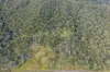 359 Mooney Road, Gaeta, Qld 4671-Image