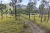359 Mooney Road, Gaeta, Qld 4671-Image
