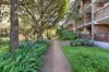 36/313 Harris Street, Pyrmont NSW 2009-Image
