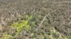 36 Balgownie Road (Quidong), Delegate NSW 2633-Image
