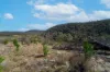 36 Balgownie Road (Quidong), Delegate NSW 2633-Image