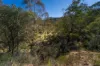 36 Balgownie Road (Quidong), Delegate NSW 2633-Image
