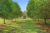 360 Bobs Creek Road, Bobs Creek, NSW 2439-Image