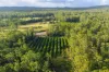 360 Bobs Creek Road, Bobs Creek, NSW 2439-Image