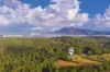 360 Bobs Creek Road, Bobs Creek, NSW 2439-Image