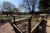 360 Marlo Plains Road, Marlo, Vic 3888-Image