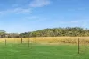 362 Springmount Road, Mutchilba QLD 4872-Image