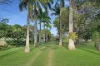 362 Springmount Road, Mutchilba QLD 4872-Image
