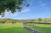 362 Springmount Road, Mutchilba QLD 4872-Image