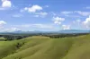 3655  South Gippsland Highway, Foster, Vic 3960-Image