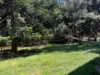 3658 Nowendoc Road, Number One, NSW 2424-Image