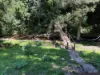 3658 Nowendoc Road, Number One, NSW 2424-Image
