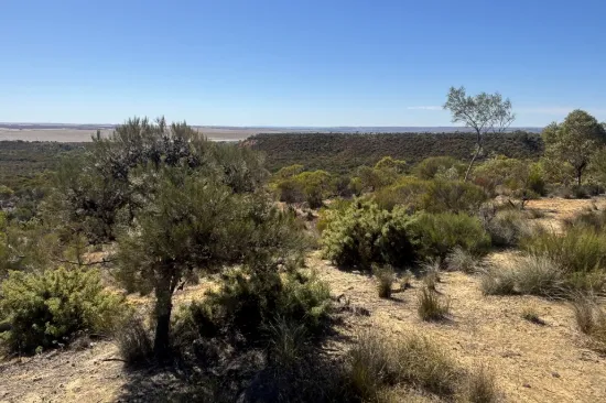 3659 Geraldton Mount Magnet Road, Wicherina, WA 6532