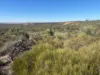 3659 Geraldton Mount Magnet Road, Wicherina, WA 6532-Image