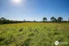 367 Kemps Access, Collombatti, NSW 2440